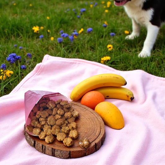 Tropical Cookies - Vegan