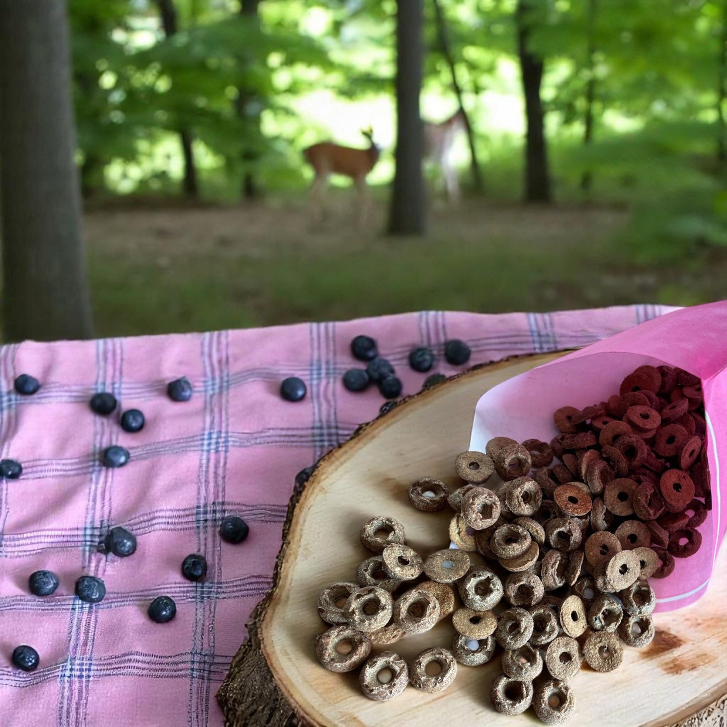 Wild-Berry Donuts