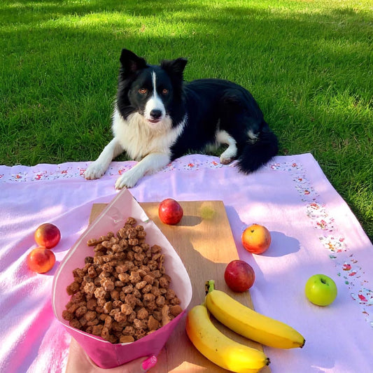 Apple Crunch - Vegan