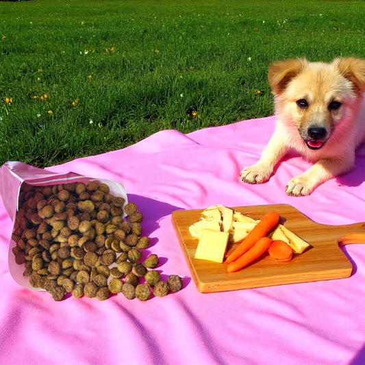 Cheesy Dreamies