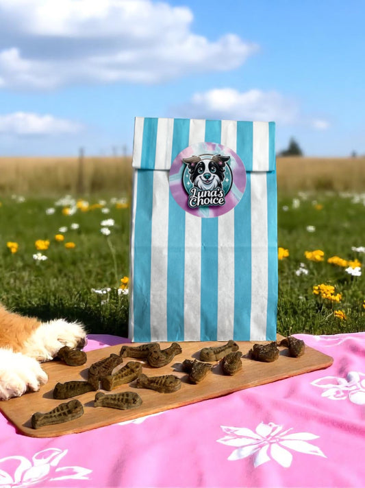 Fishy Fun Bites